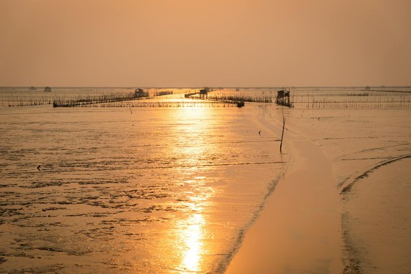 De la Rivière à l'Océan : Une Croisière Écoresponsable pour un Voyage Durable