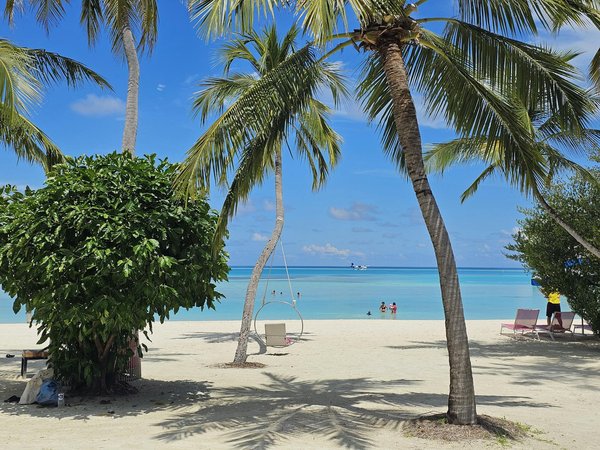 Évadez-vous en Nature : Offres Incontournables pour des Aventures de Camping en Plein Air